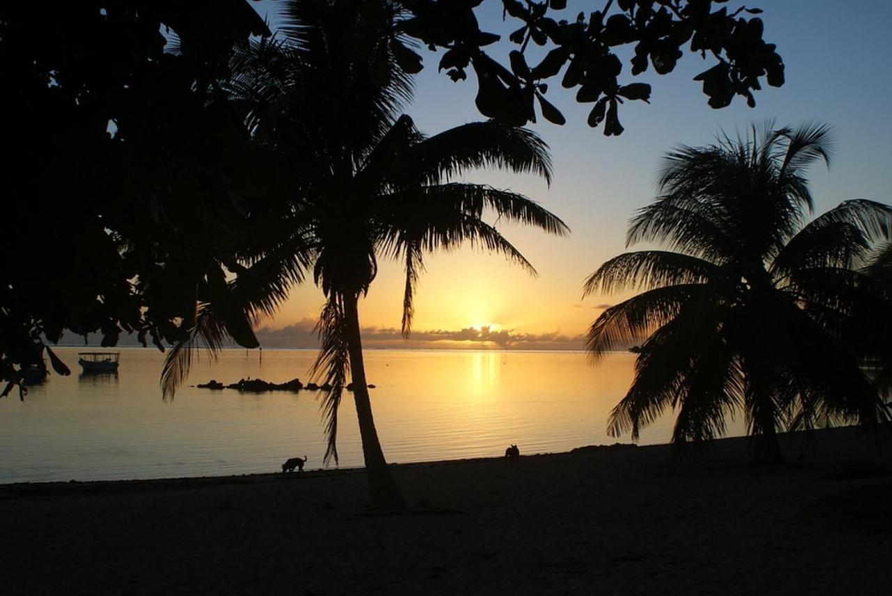Tahiti - Taharuu Houses Surf & Beach Papara 외부 사진